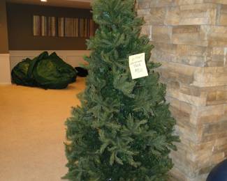 Oh Christmas Tree, Oh Christmas Tree.............look how lovely you are!