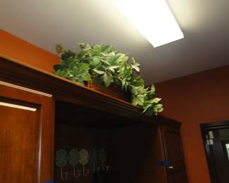 Faux plants happen