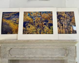 Large scale signed photography by Christopher Burkett