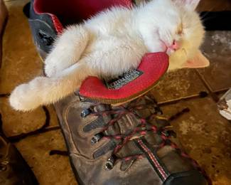 What use are boots without kittens to put in them?