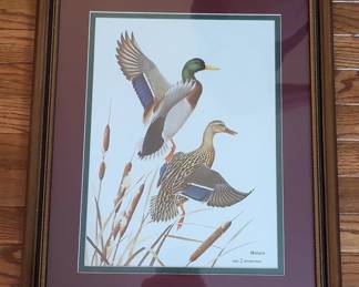 William Zimmerman Mallard Duck Print
