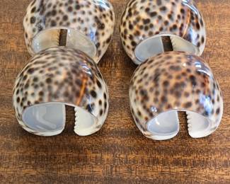 Tiger Cowrie Shell Napkin Rings Set of