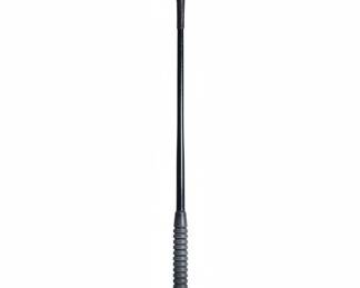Riding Crop or Bat
