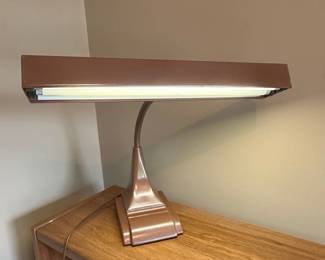 Art Specialty Co. Chicago Gooseneck Desk Lamp