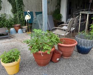 Pots, chairs, flamingo