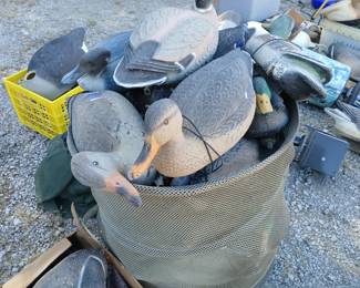 Decoys