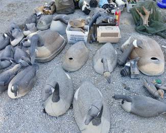 Decoys
