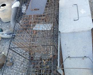 Racoon trap