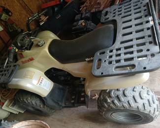 MotorTek 2 wheel drive 4 wheeler