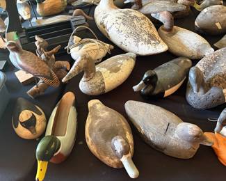 Decoy Ducks
