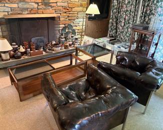 Mid Century Modern Living Room Space
