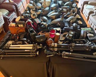Vintage Camera & Camera Equipment, Decoy Ducks