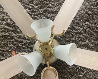 Ceil fan close