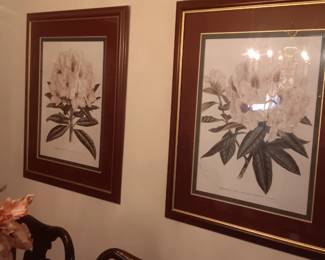 Botanical prints