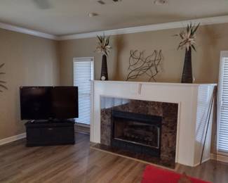 Living Room Furniture and Decor