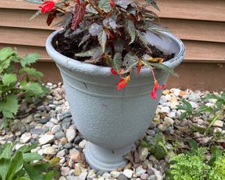 Dozens of outdoor and indoor plants