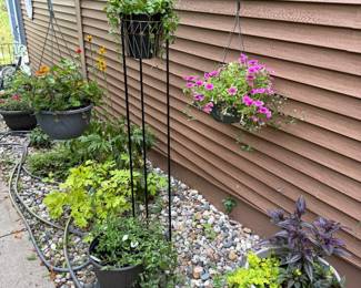 Dozens of outdoor and indoor plants