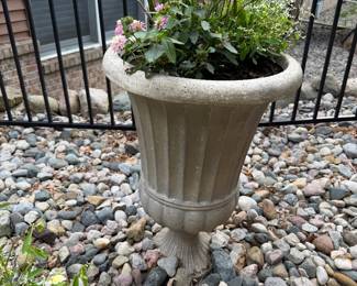 Dozens of outdoor and indoor plants