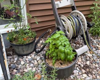 Dozens of outdoor and indoor plants