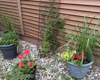 Dozens of outdoor and indoor plants