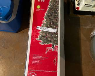 Tree In Box