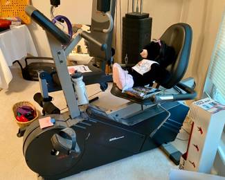 Recumbent bike