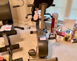 Recumbent Bike 6100