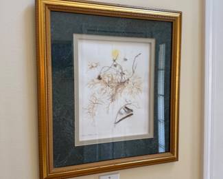 Framed botanical