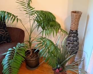 live plants