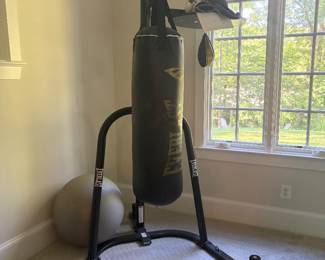 Speed bag