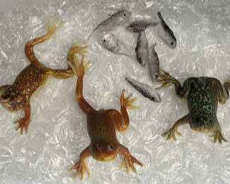 Lot 132: Glass Frog Figurines, Tadpole Figurines, and Crocheted Dog Plush