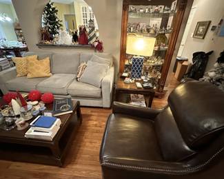 Gray Sofa, Mahogany Coffee Table, Nice Lamps, Pillows, IPad