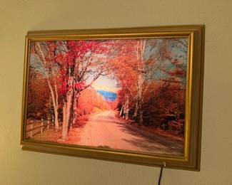 Fabulous lighted Mid-Century modern art piece