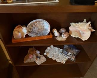 A close look at the shells