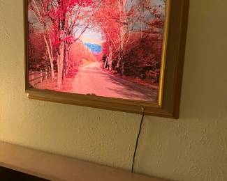 MC lighted art piece in original frame