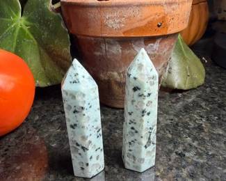 Kiwi Jasper