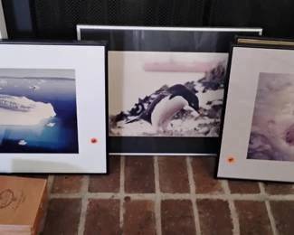 photo art antarctic