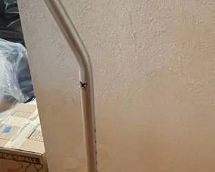 SAT537 - Adjustable Aluminum 4-Prong Cane