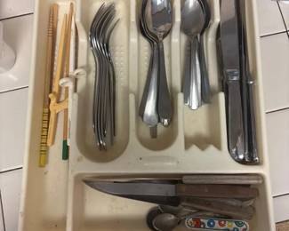 SAT196 - Silverware & Organizer