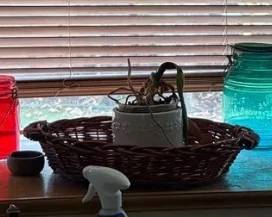 SAT154 - Glass + Plant Home Decor