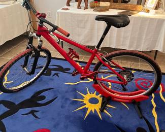 Mountain Bike