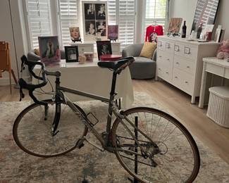 Titanium bike