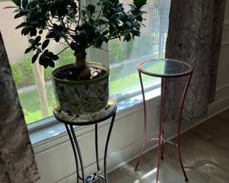 fern stands