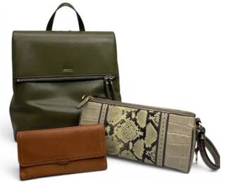 Genuine Leather DKNY Backpack, Fossil Wallet, Python Embossed Shoulder Bag