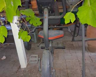 Vanswe Recumbent Stationary Exercise Bike