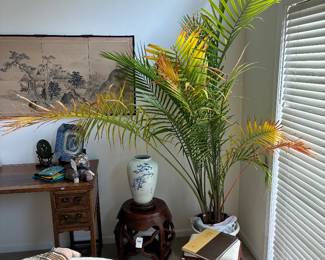 Plants