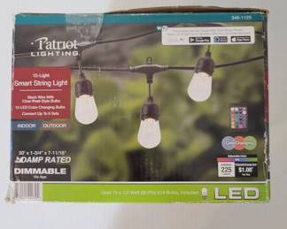 Patriot Lighting LED String Light