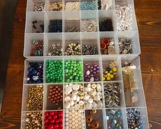 Beads in Plastic Organizer