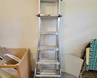 Aluminum Telescoping Ladder Type IA