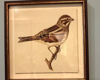 Vintage "Reed Bunting" and "Song Sparrow" Bird Prints